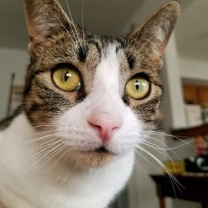 Meet your Posher, Cherie